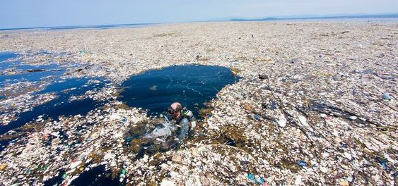 Negativní dopad plastů na Karibské moře.