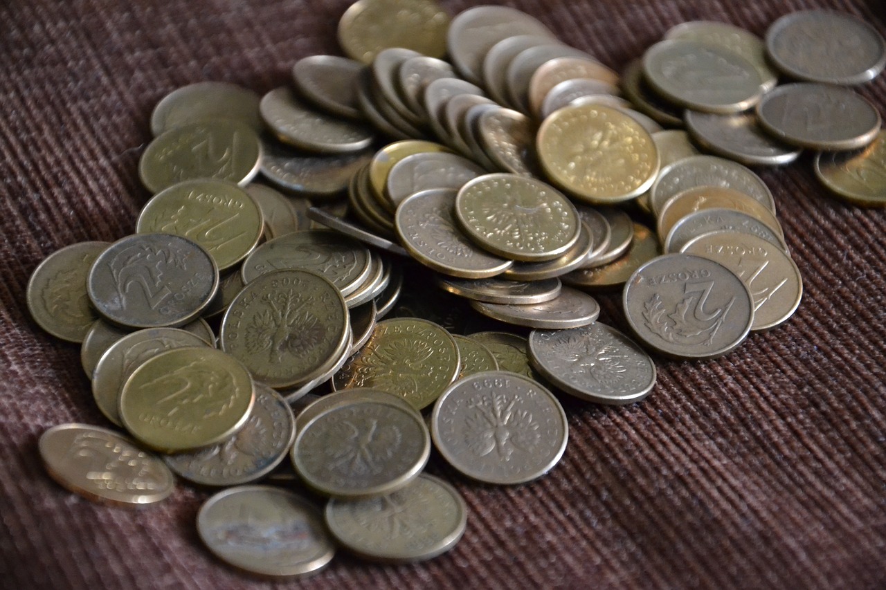 polské mince